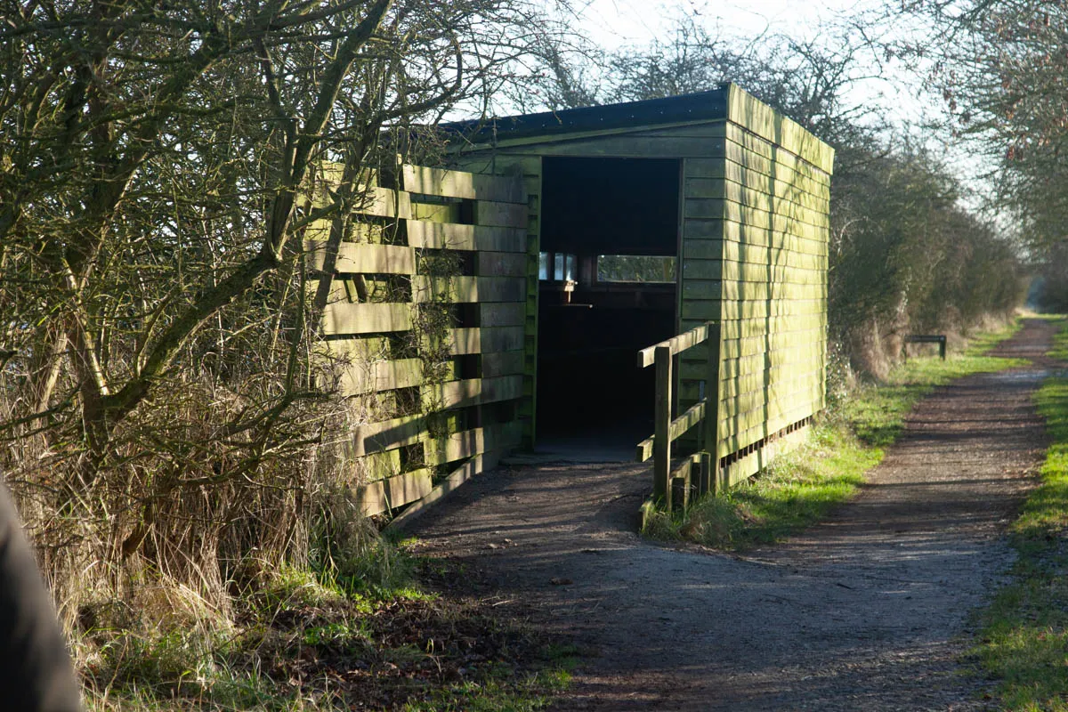6 - RSPB Freiston Shore Jan 2023-9.jpg