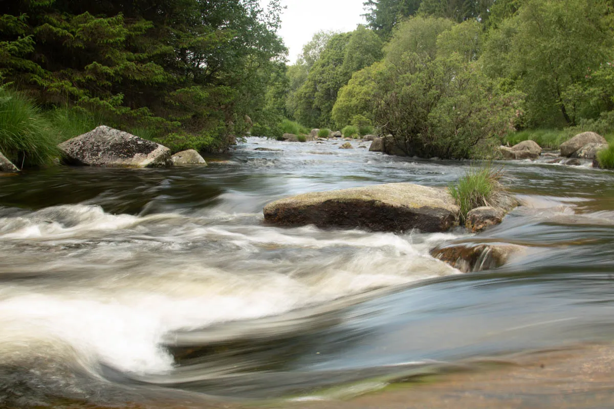 Day 4 A busy day in Galloway Forest-41.jpg