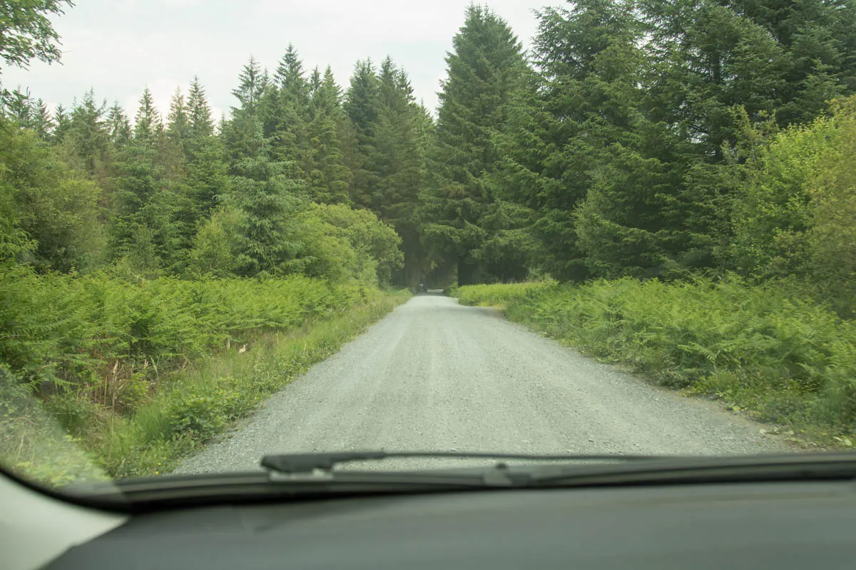 Day 4 A busy day in Galloway Forest-43.jpg