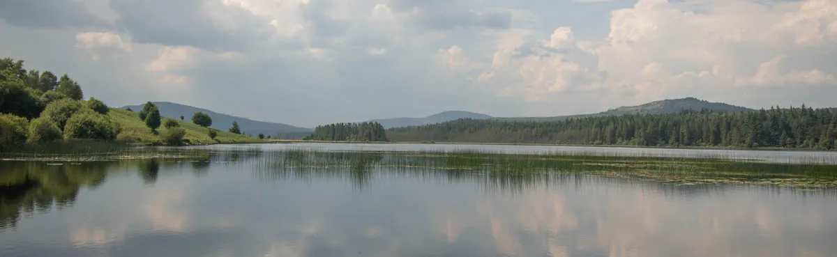 Day 4 A busy day in Galloway Forest-57.jpg