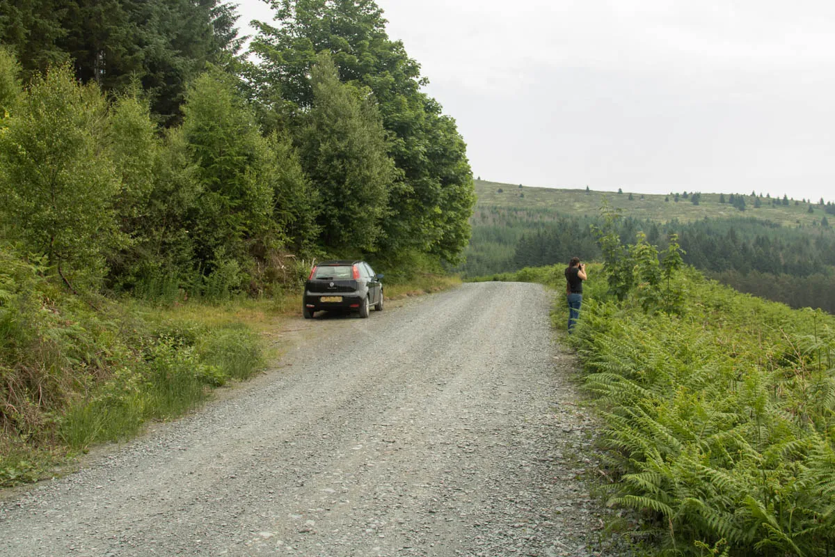 Day 4 A busy day in Galloway Forest-35.jpg