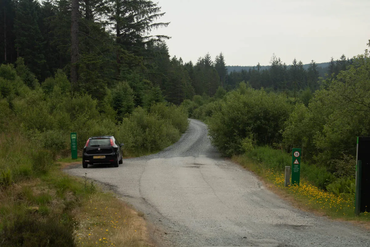 Day 4 A busy day in Galloway Forest-30.jpg