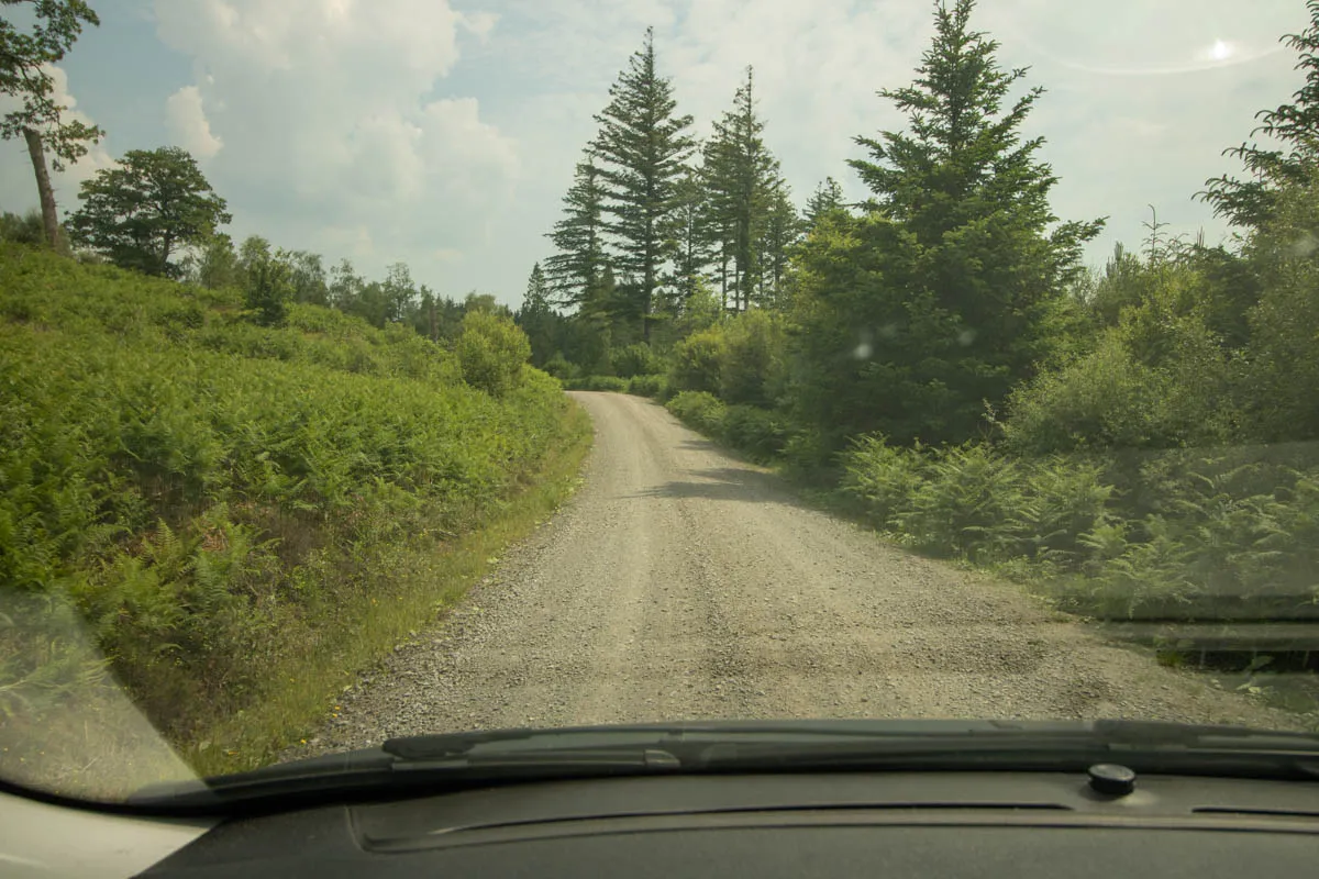 Day 4 A busy day in Galloway Forest-49.jpg