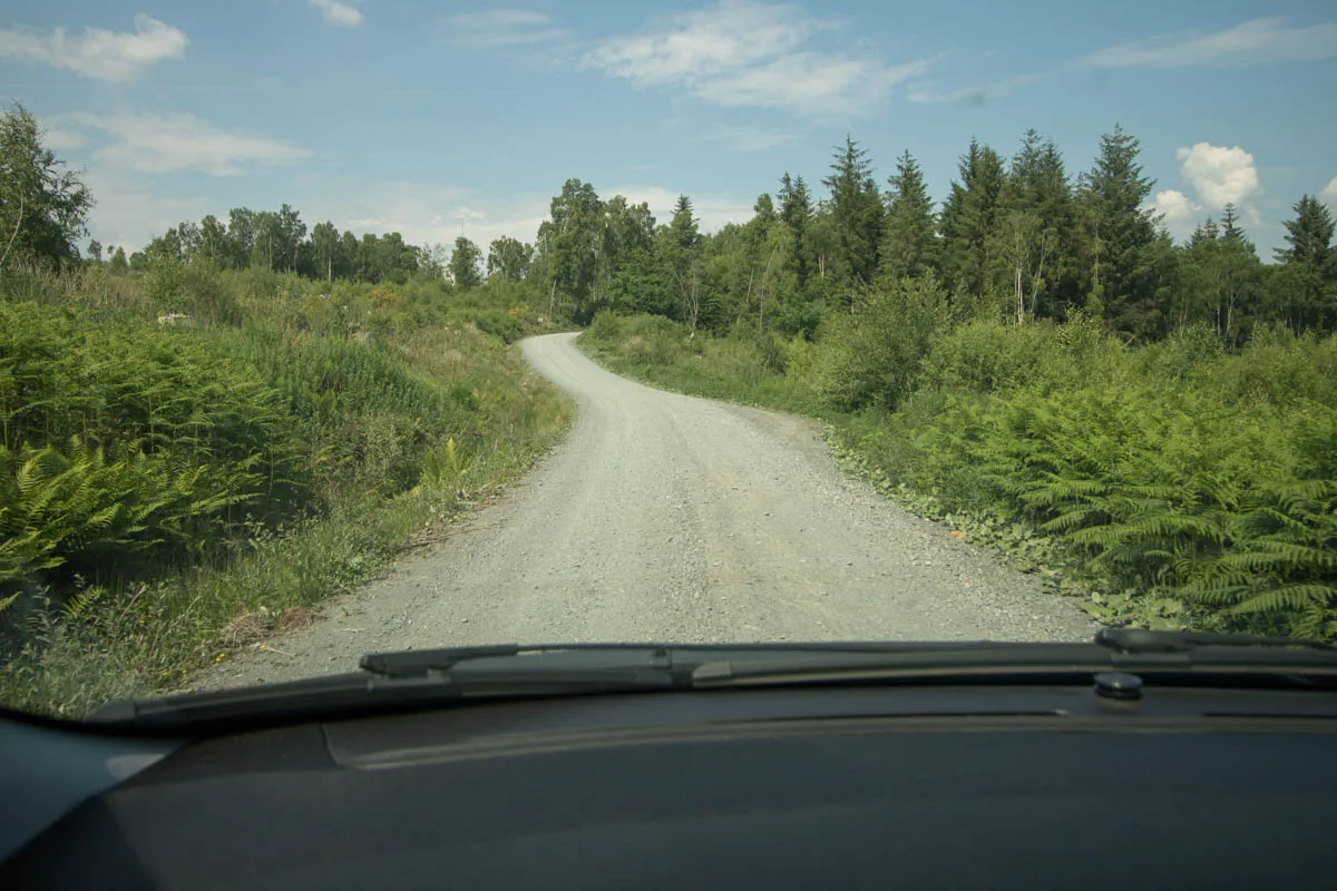 Day 4 A busy day in Galloway Forest-58.jpg