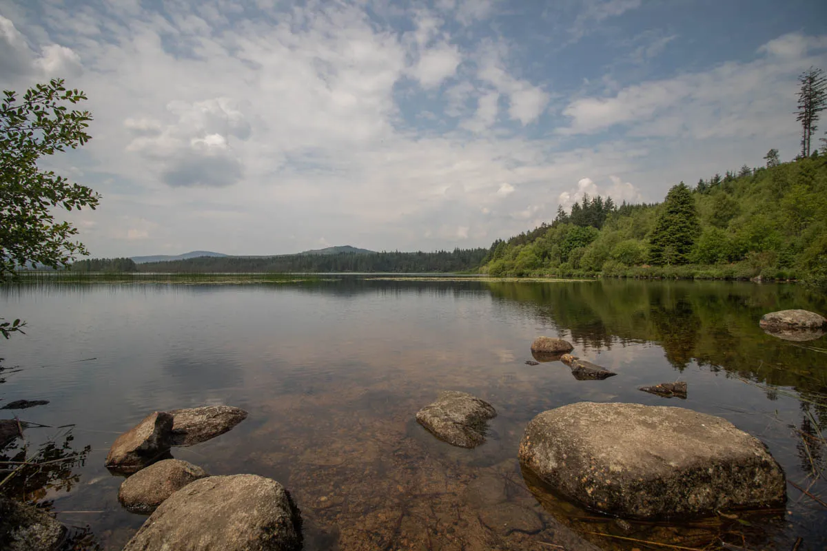 Day 4 A busy day in Galloway Forest-51.jpg