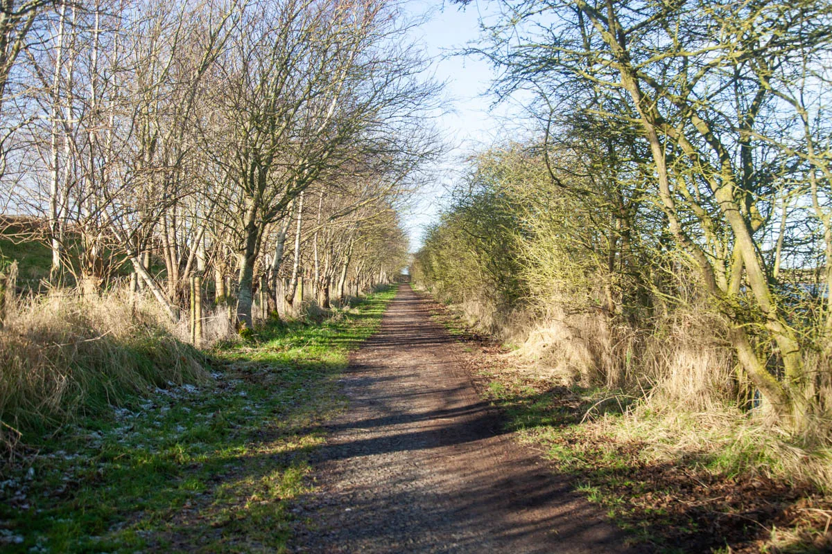 end RSPB Freiston Shore Jan 2023-17.jpg