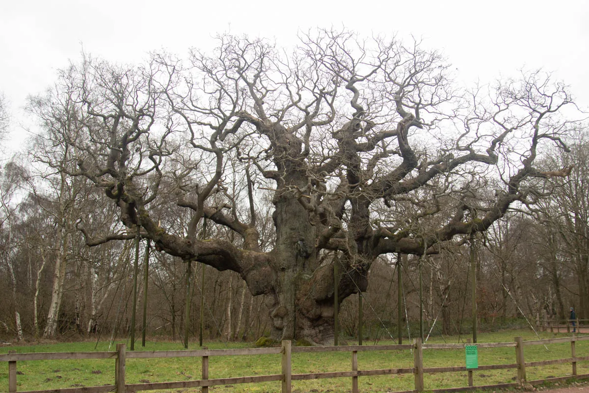 RSPBSherwood Feb 2023-14.jpg