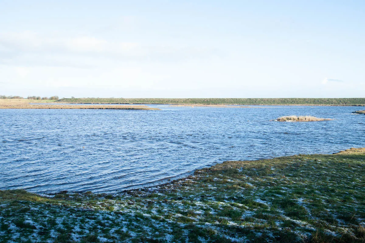 7a - RSPB Freiston Shore Jan 2023-10.jpg