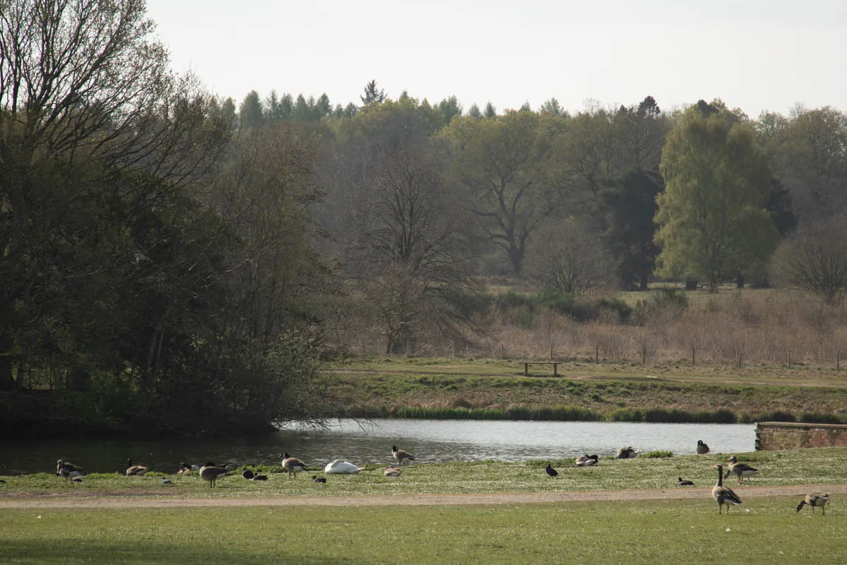 clumber edits april24-3.jpg