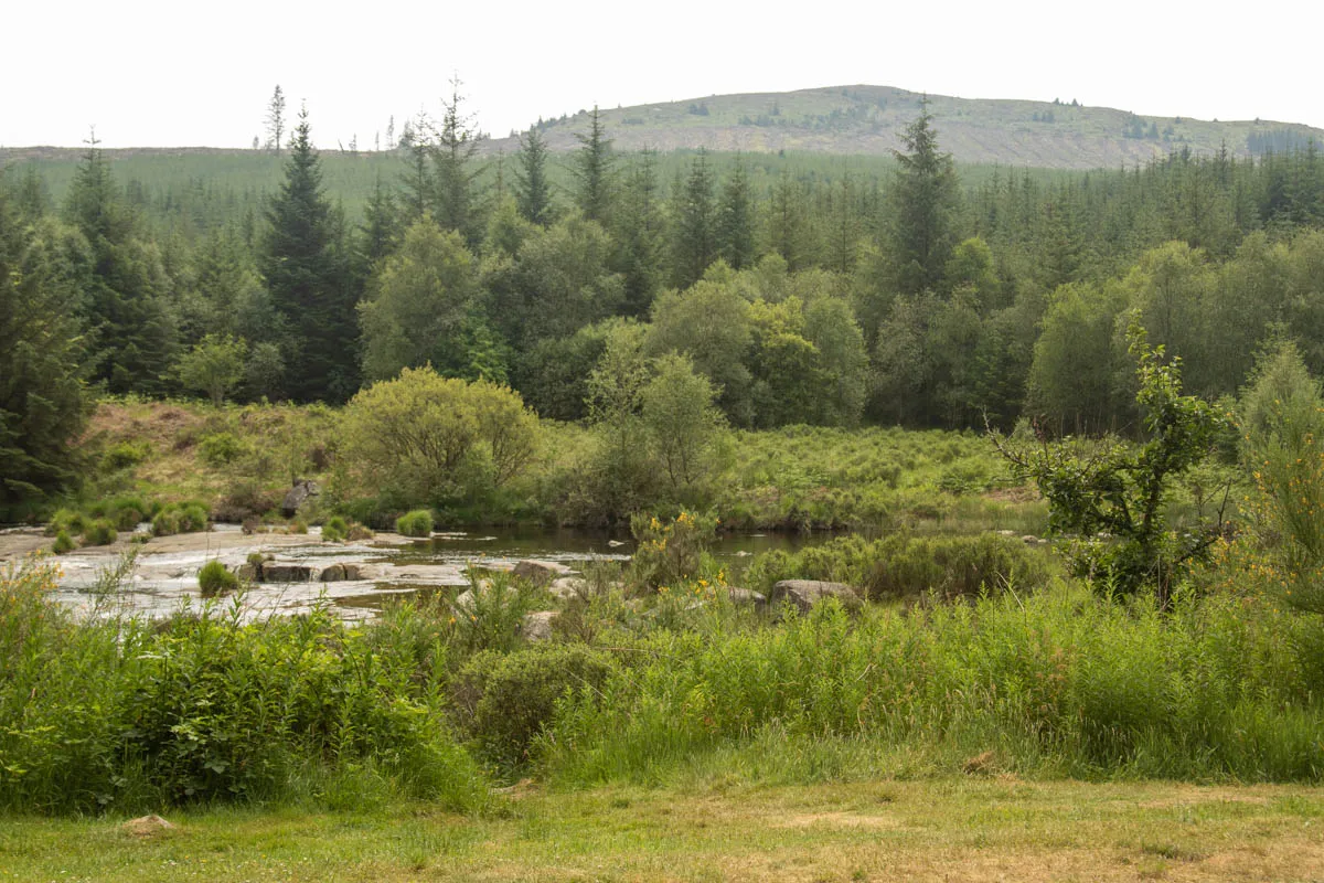 Day 4 A busy day in Galloway Forest-45.jpg