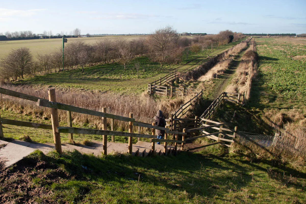 31 - RSPB Freiston Shore Jan 2023-39.jpg