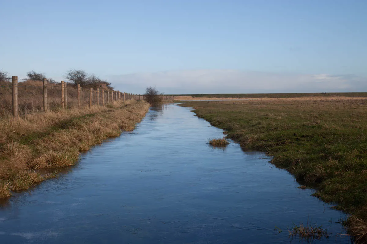 32 - RSPB Freiston Shore Jan 2023-43.jpg