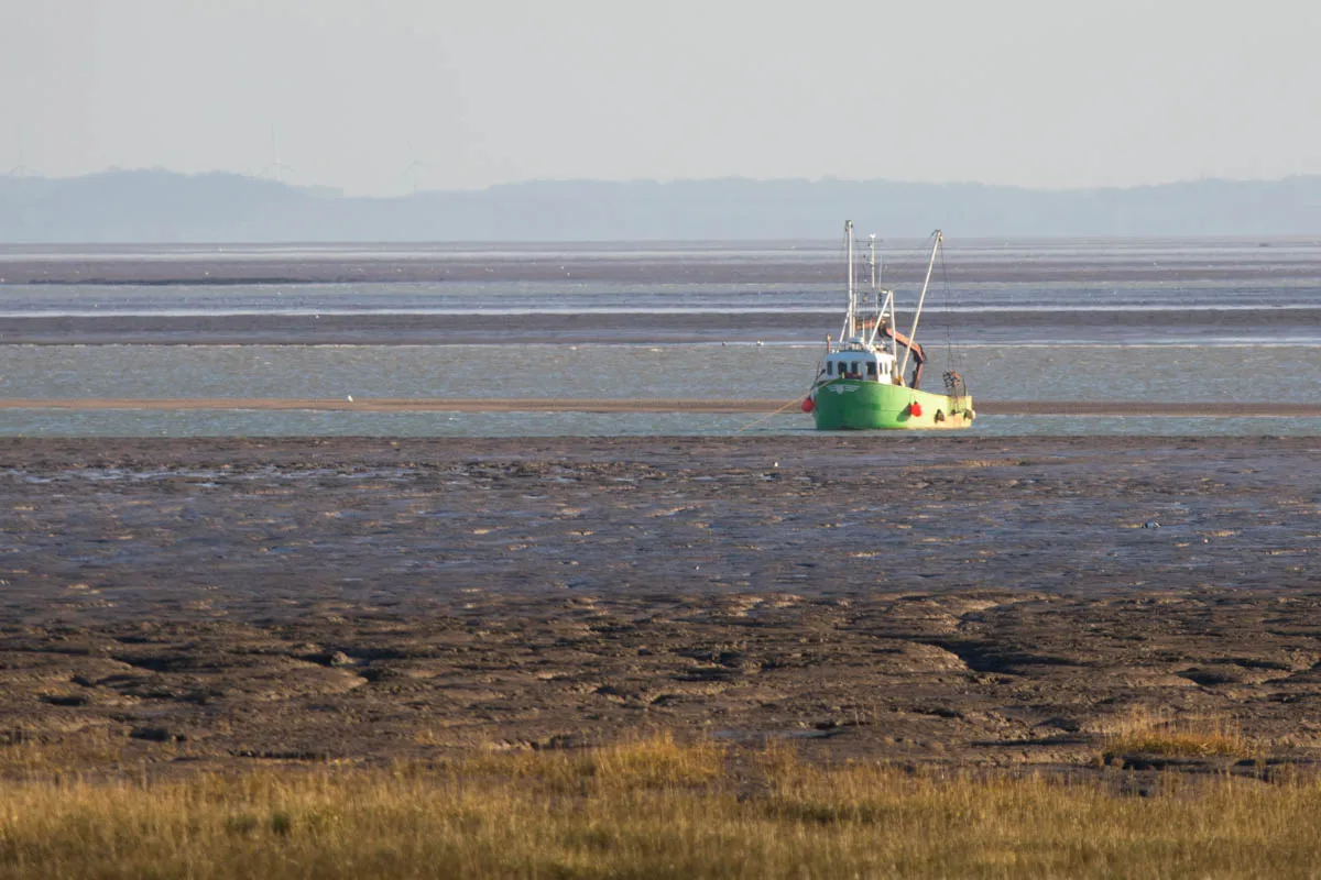 17 - RSPB Freiston Shore Jan 2023-23.jpg
