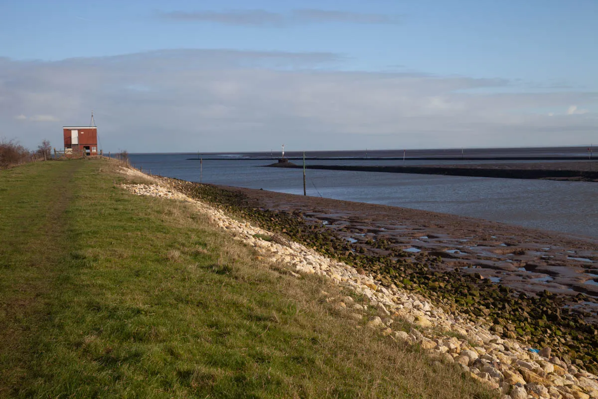 22 - RSPB Freiston Shore Jan 2023-33.jpg