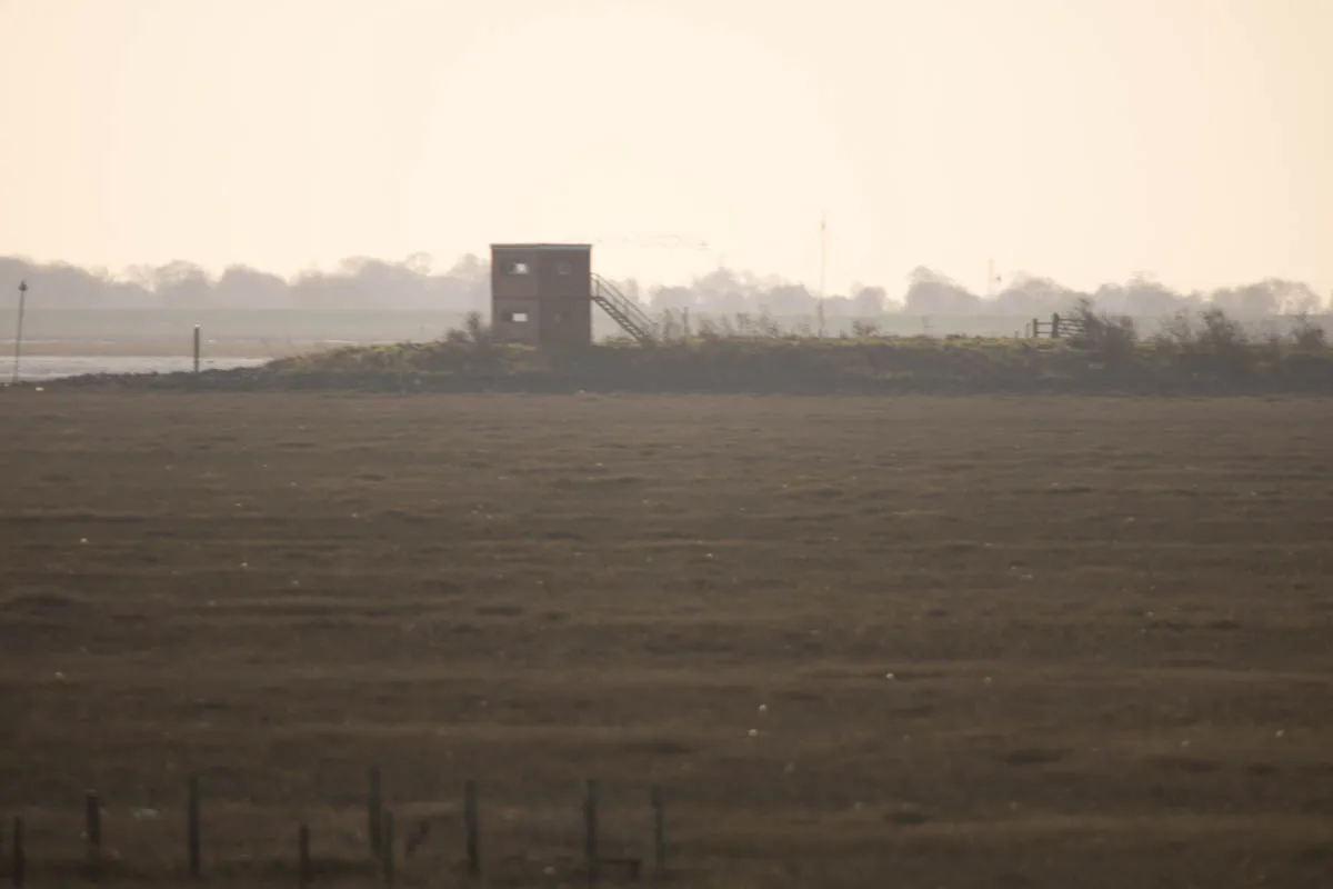 16 - RSPB Freiston Shore Jan 2023-22.jpg