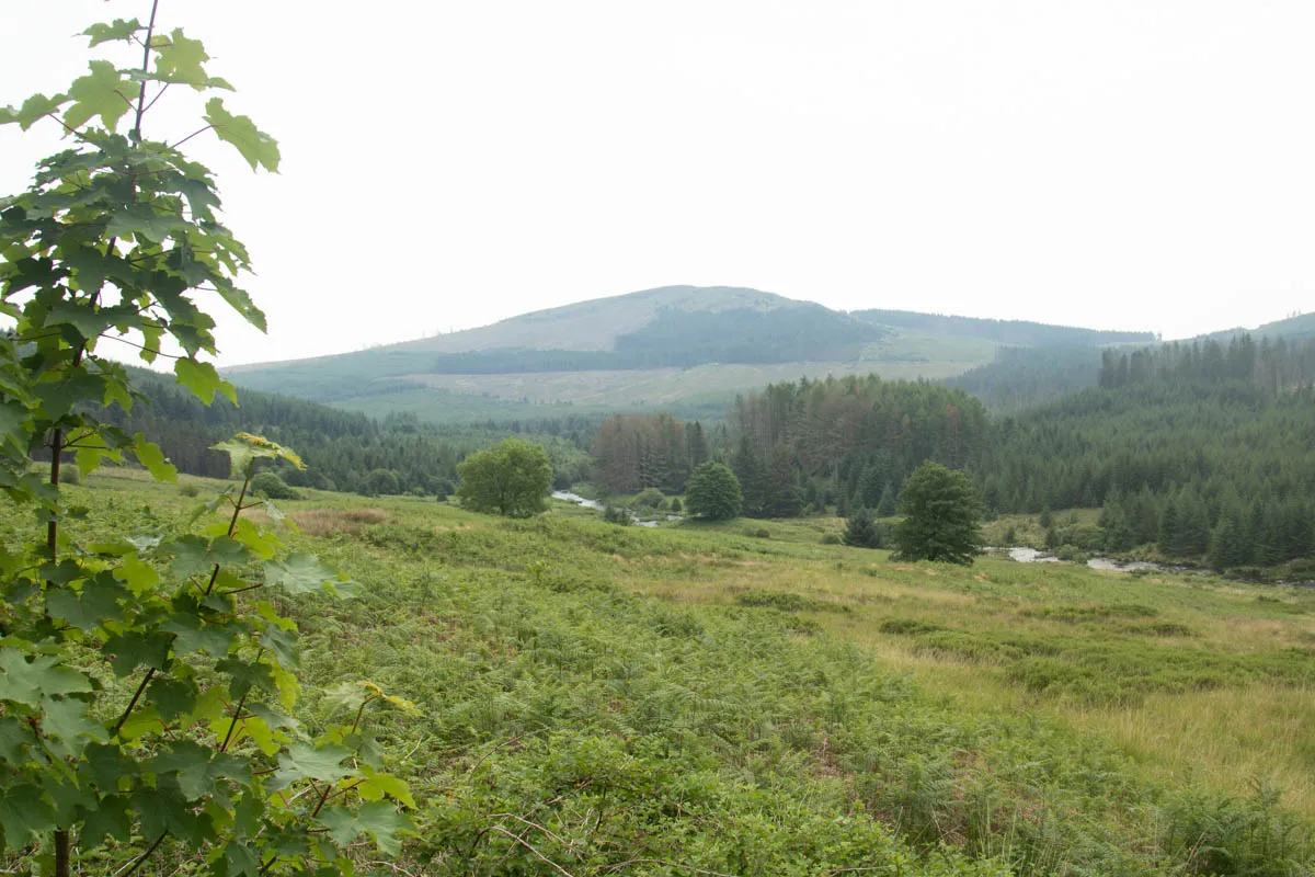 Day 4 A busy day in Galloway Forest-34.jpg