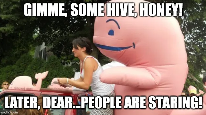 58qw78.jpg
