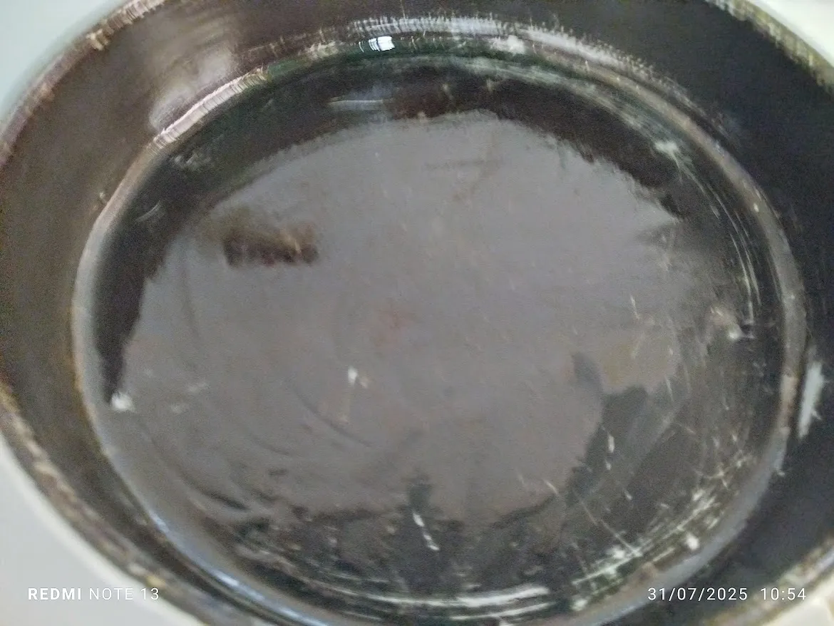 pollo10.jpg
