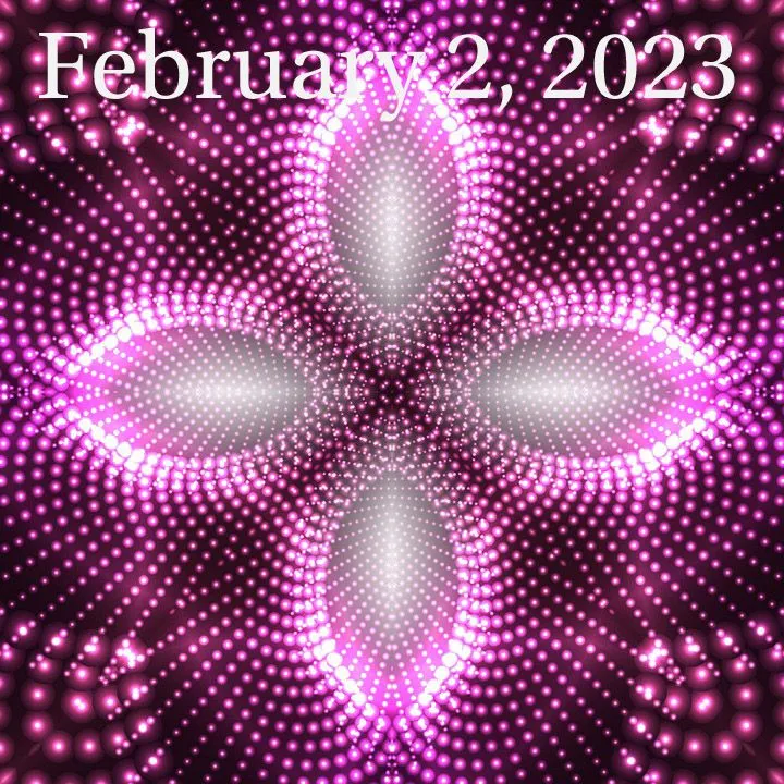 PSX_20230203_063458.jpg