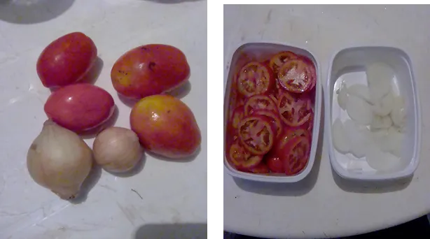 tomate y cebolla2.png