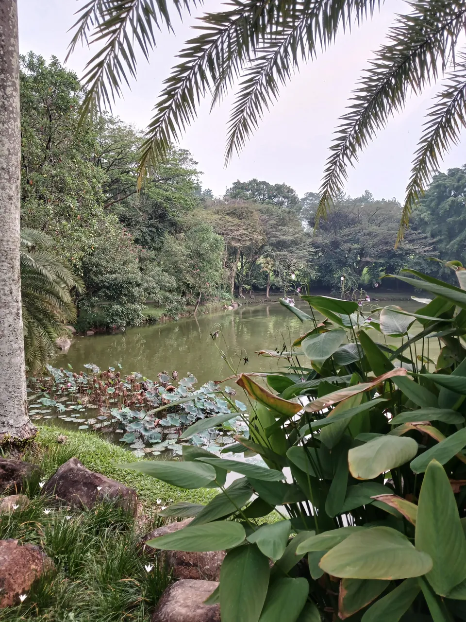 20250627_165040.jpg