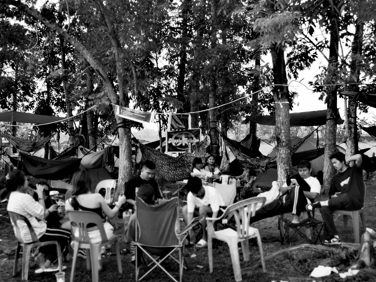 IMG_20221212_040810_edit_5885202327031666.jpg