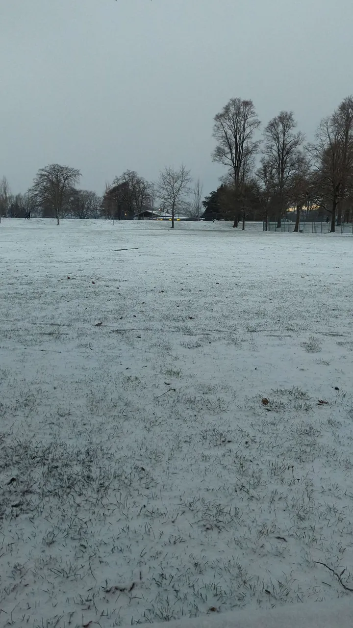 PXL_20240112_004113067.jpg