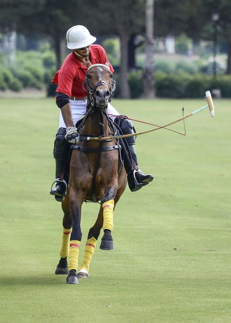 polo-1046492_1280.jpg