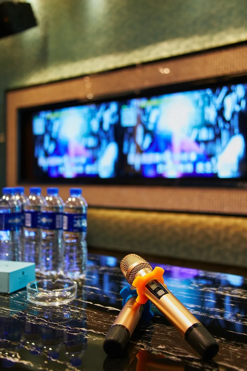 ktv-room-5936457_1280.jpg
