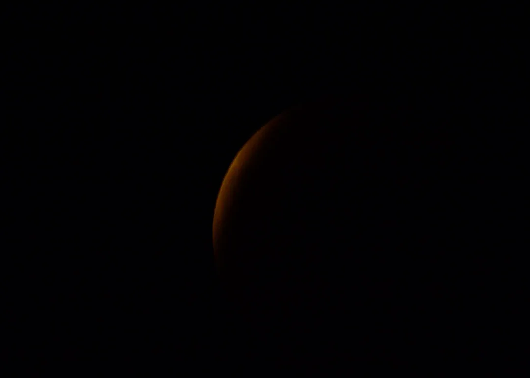 DSC_9114.jpg