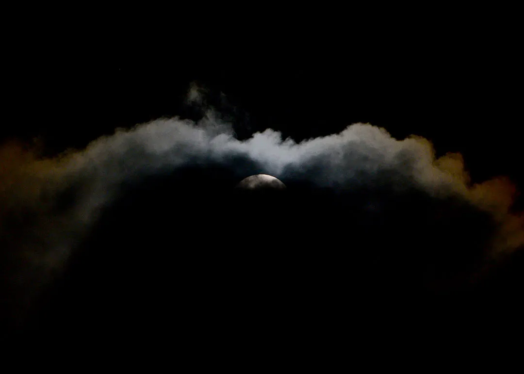 DSC_9214.jpg
