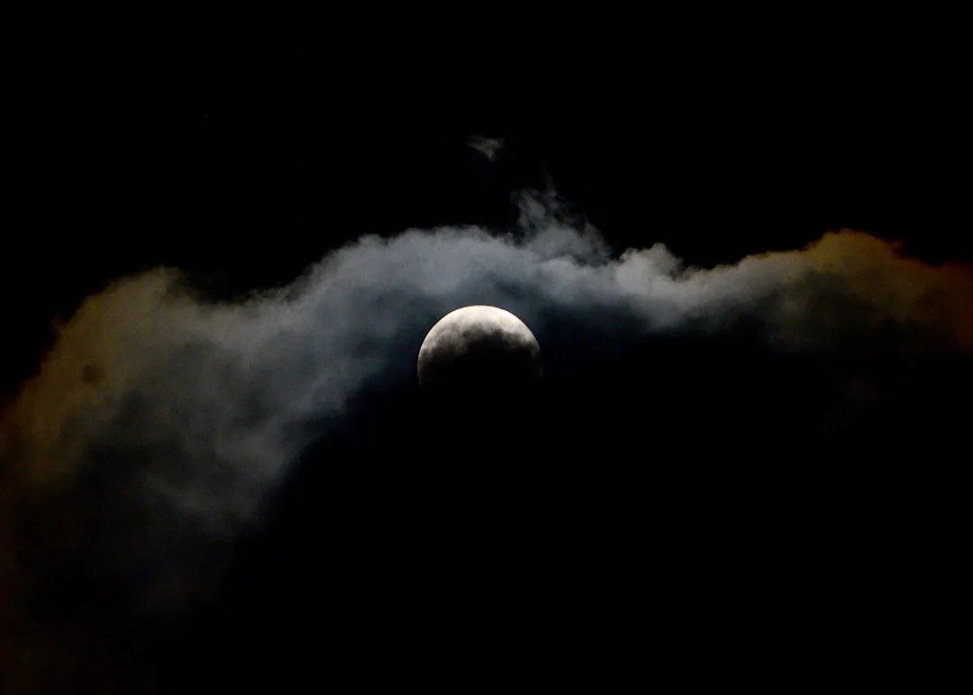 DSC_9222.jpg