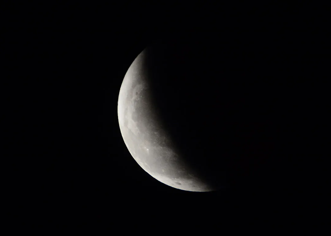 DSC_9155.jpg