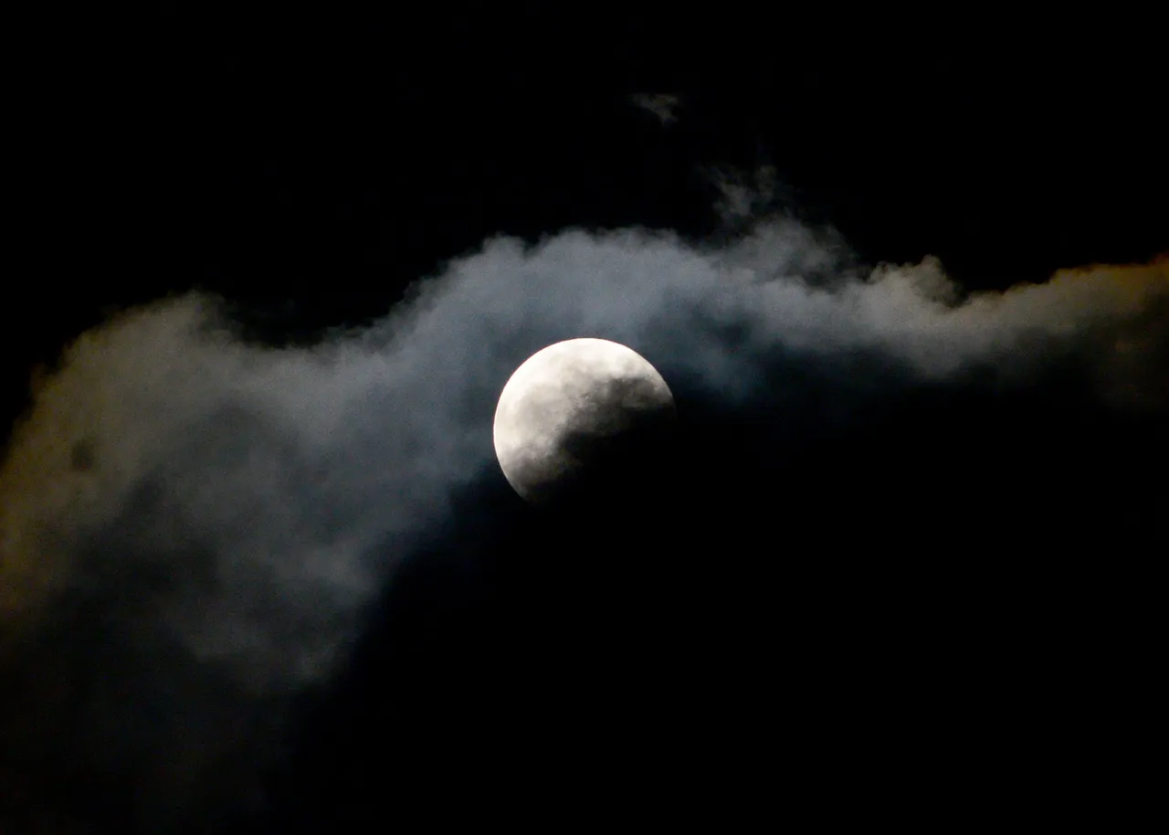 DSC_9228.jpg
