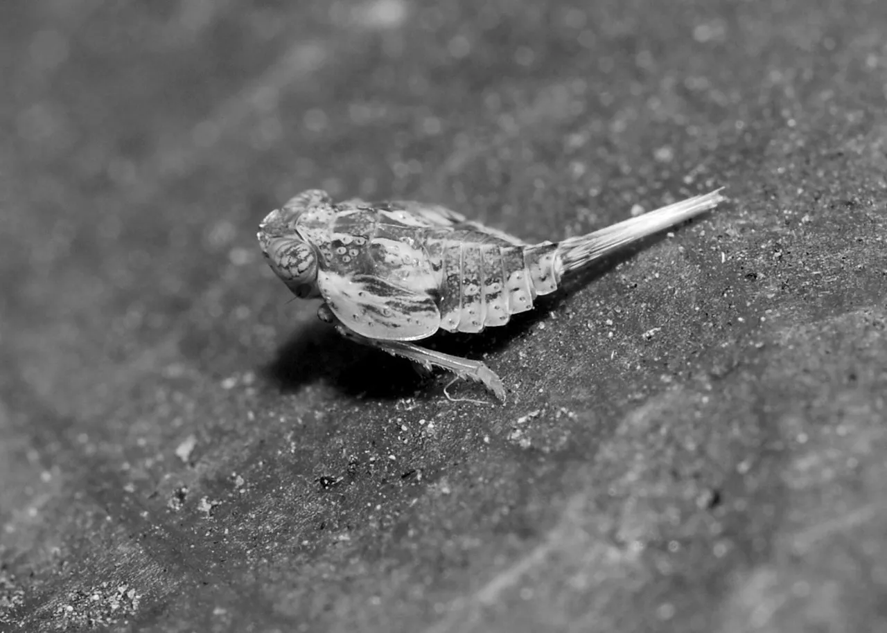 DSC_5357.jpg