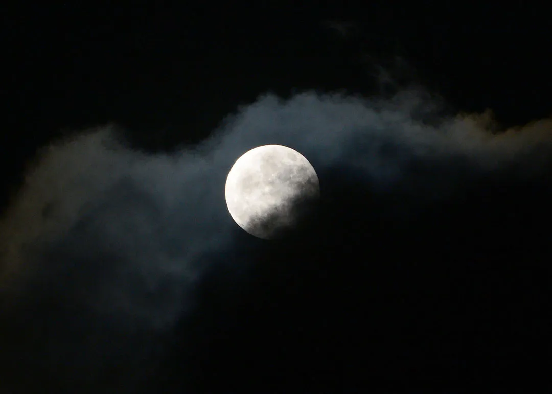 DSC_9236.jpg