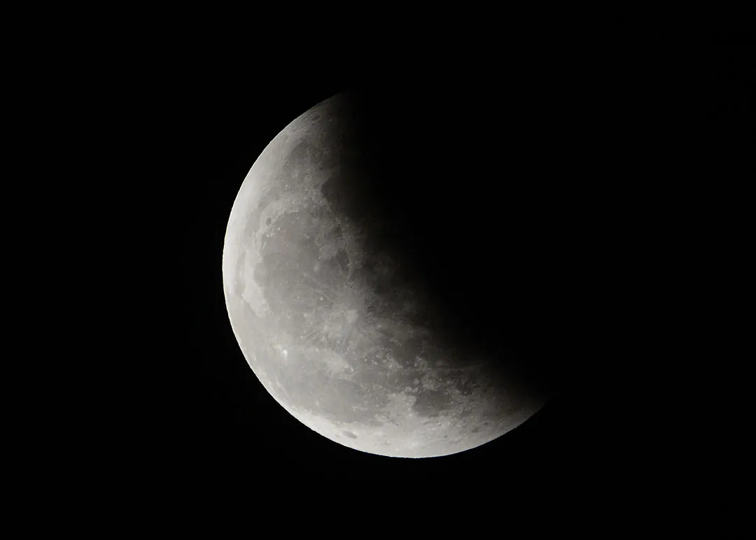 DSC_9181.jpg