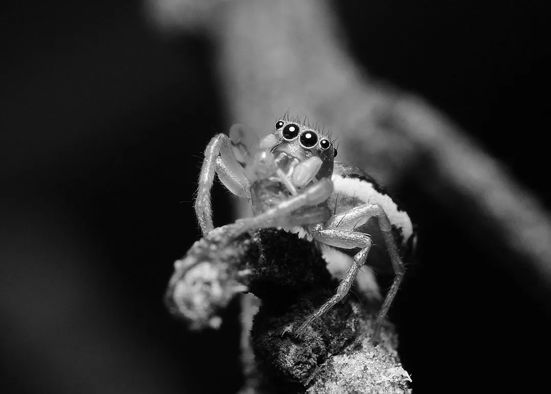 DSC_3796.jpg