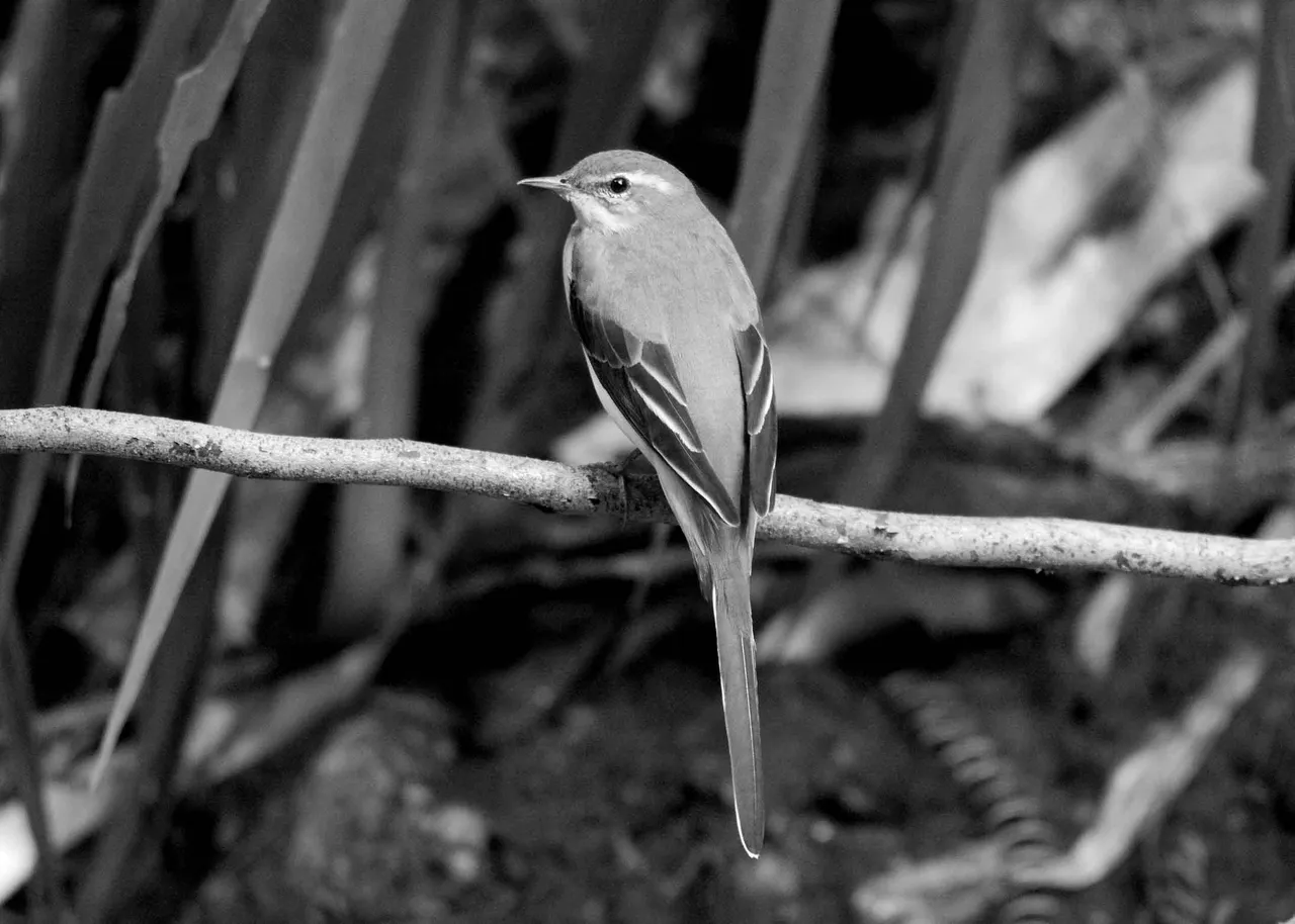 DSC_6670.jpg