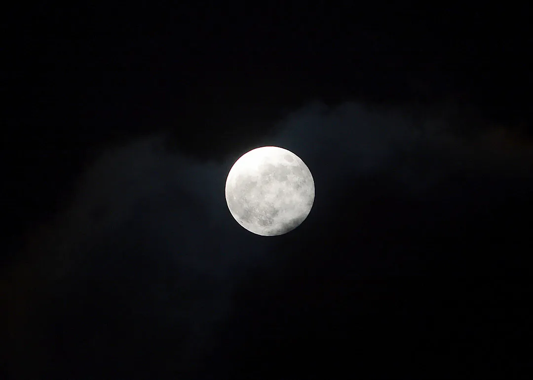 DSC_9244.jpg