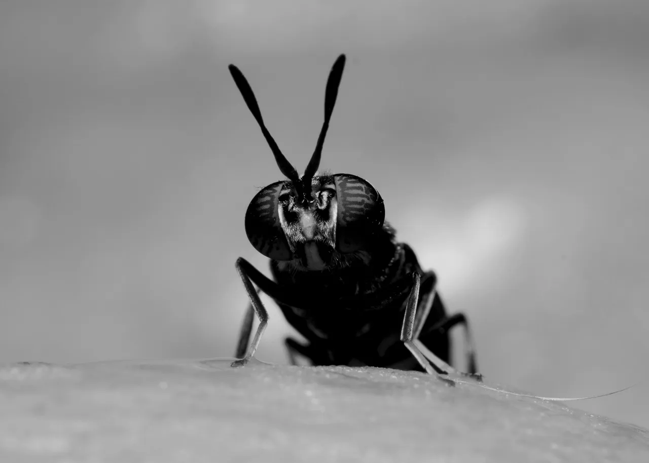 DSC_5912.jpg