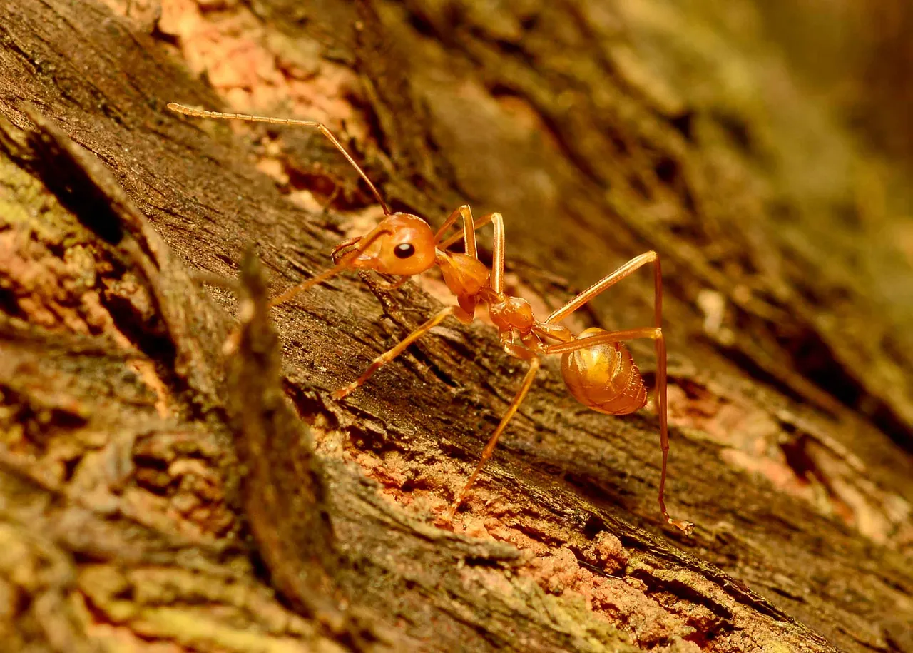DSC_6450.jpg