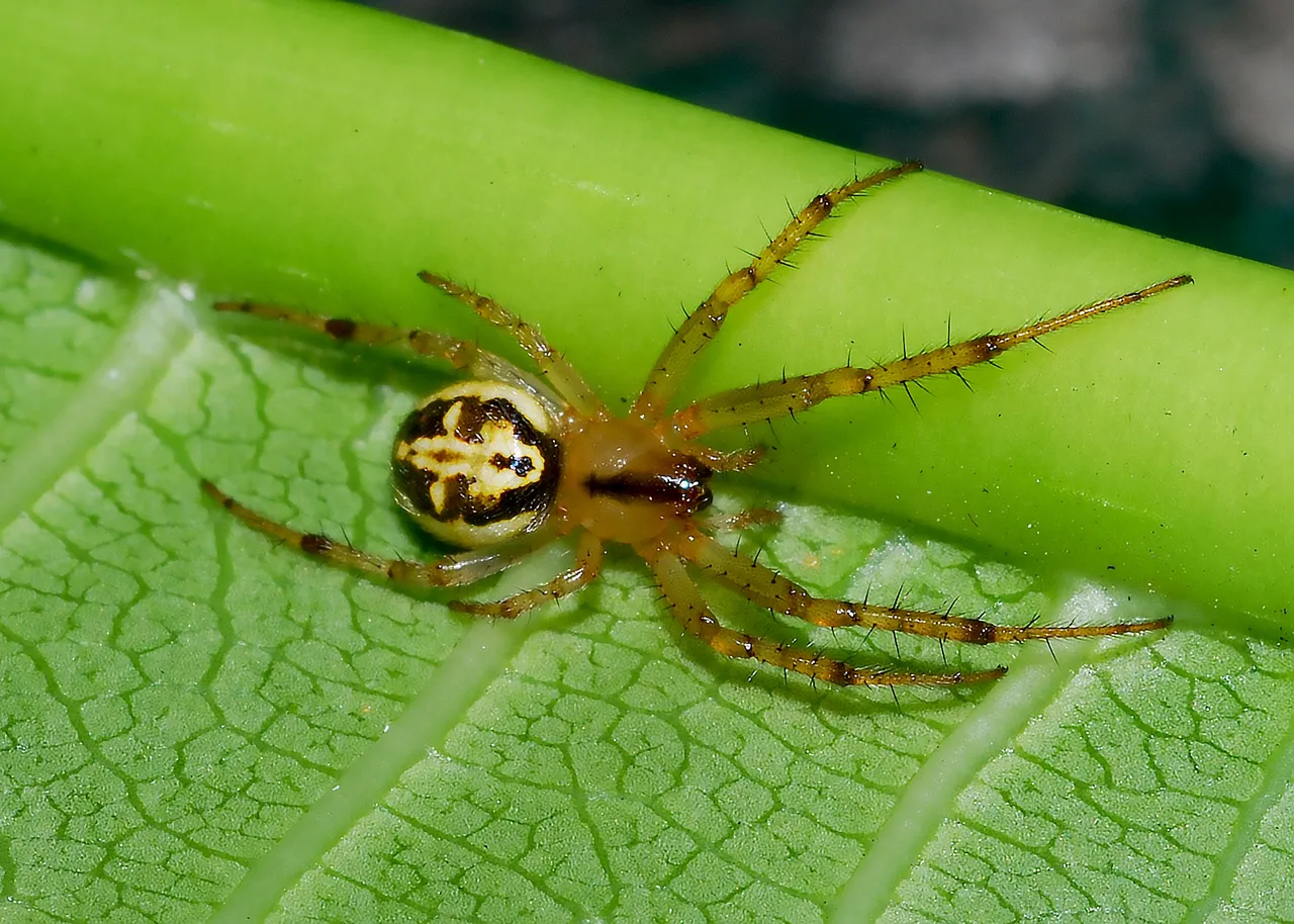 DSC_5336.jpg