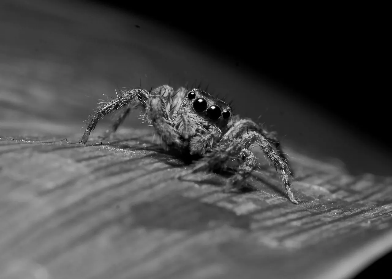 DSC_5196.jpg