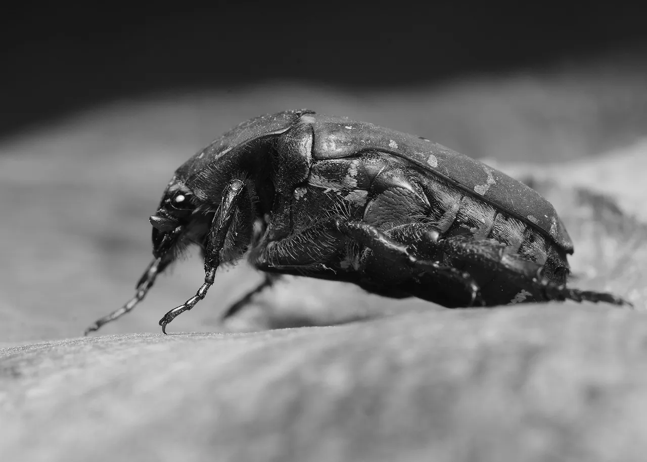 DSC_3647.jpg