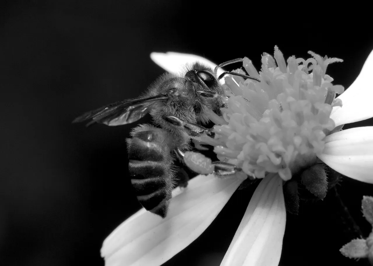 DSC_7020.jpg