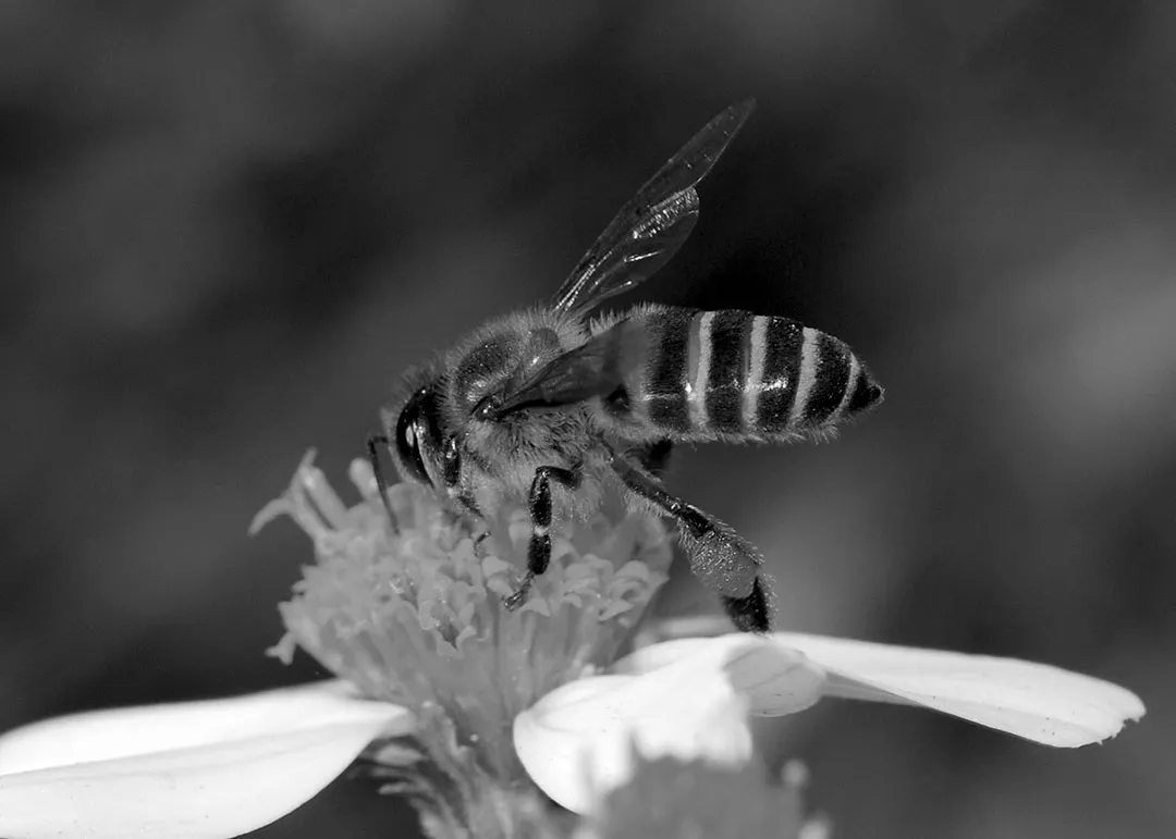 DSC_0854.jpg