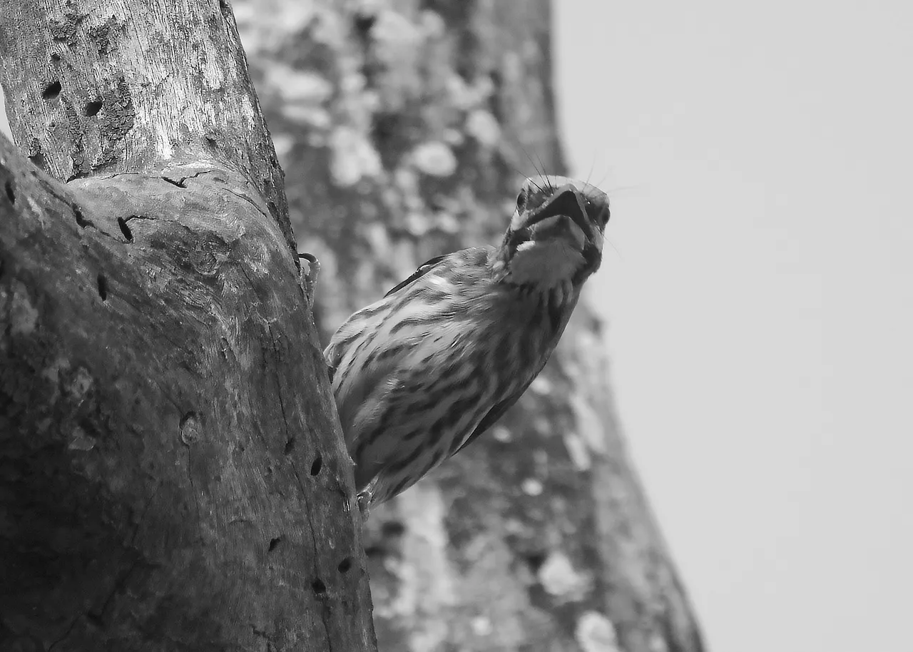 DSC_8021.jpg