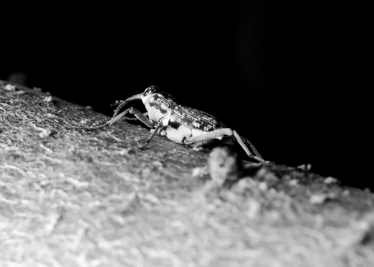 DSC_1513_01.jpg