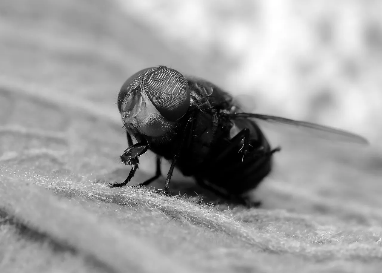 DSC_2150.jpg